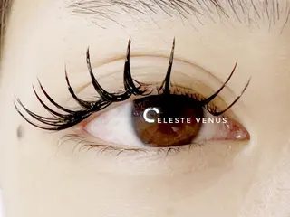 マツエク・マツパ 🧸Celeste Venusのマツエク・マツパデザイン