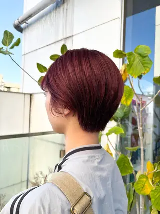 ショート カラー ヘアアレンジ 押切 響　のヘアスタイル