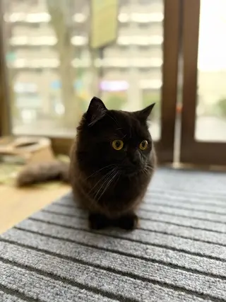 美容鍼・リラクゼーションサロン 晴々所属・清水 茜音のその他イメージ