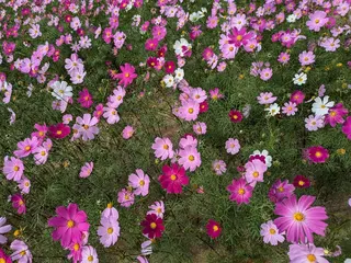 POLA福岡東店 木山 のその他イメージ