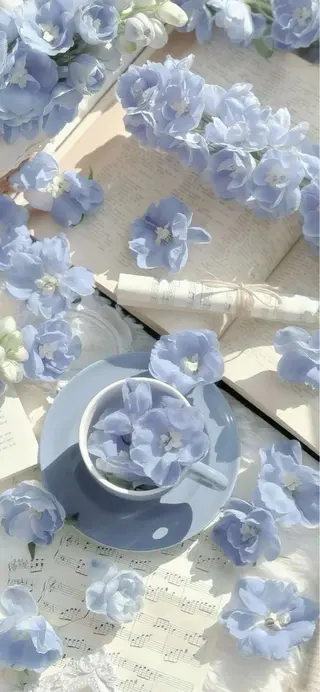 SSINSTUDIO 𝑴𝒊𝒉𝒐🦋のその他イメージ