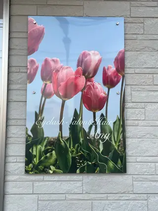 Any eyelashのマツエク・マツパデザイン