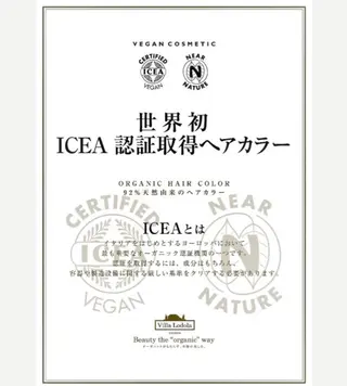 カラー 阪口 萌のヘアスタイル