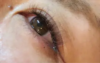 マツエク・マツパ eyelash MONICAのマツエク・マツパデザイン