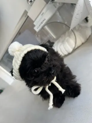 eye salon U-ga/中目黒のその他イメージ