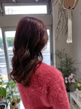 カラー 🌸花屋併設🌸石垣 友基のヘアスタイル