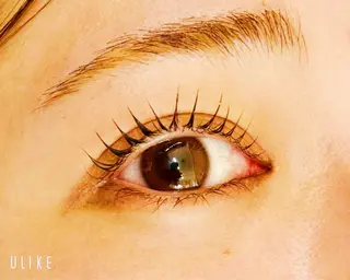 マツエク・マツパ TERRA MAYUのマツエク・マツパデザイン