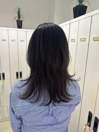 セミロング レイヤー 艶々カラーのヘアスタイル