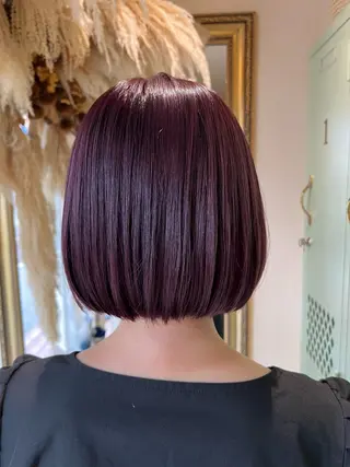 ショート カラー 朝が楽になる艶髪縮毛 ✨中稲明梨のヘアスタイル