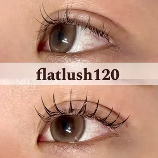 マツエク・マツパ Dealo京橋店所属・シノ🌿 / Dealo京橋店のマツエク・マツパデザイン