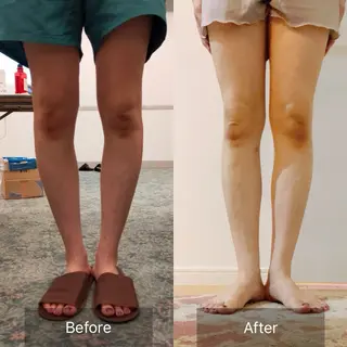 めぐらせの 森のその他イメージ