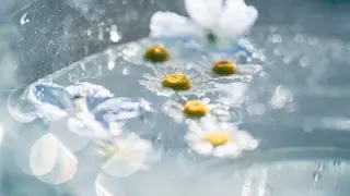 🌼二本柳 🌼のヘアスタイル