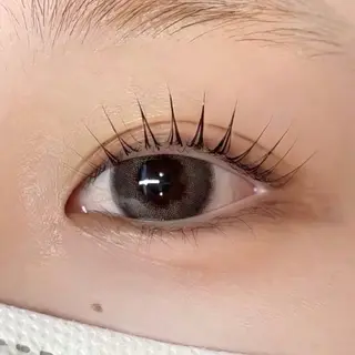 マツエク・マツパ まつ毛パーマ/眉毛 LILI 16° 栄の眉毛・アイブロウイメージ