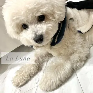 LaLuna🌙 Natsukiのネイルデザイン