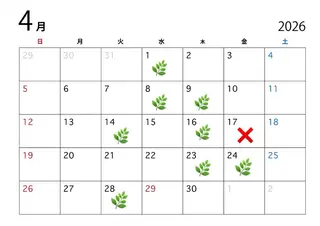 ミディアム カラー ハイトーン/寒色系 カラー/Risa🌿のヘアスタイル