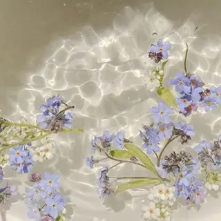 ネイル nicolenail /emureのネイルデザイン