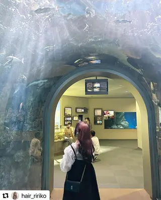 ショート カラー パーマ メンズ 🩷Eny terrace🩷のヘアスタイル