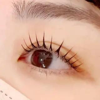 マツエク・マツパ 🧸Celeste Venusのマツエク・マツパデザイン