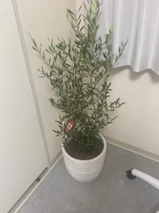 メンズ LOVEホワイト ニング恵比寿店のその他イメージ