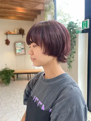 ショート 土屋 美賀のヘアスタイル