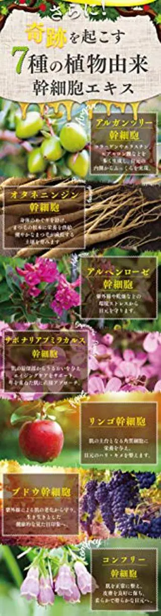 マツエク・マツパ 神山 ビューティー・アイのマツエク・マツパデザイン