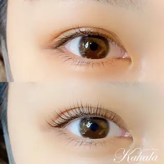 マツエク・マツパ NISAKA 🦸🏻‍♀️のマツエク・マツパデザイン