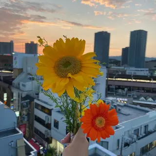 TIDEHAIR SHIHOのヘアスタイル