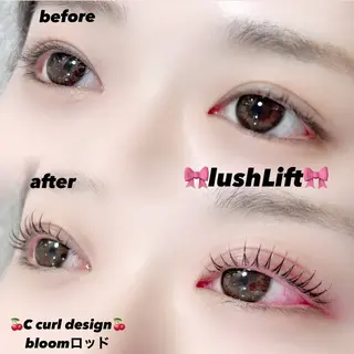 マツエク・マツパ 🎀Moa🎀 【束感まつ毛】の眉毛・アイブロウイメージ