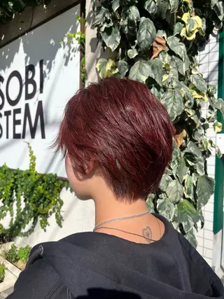 ショート mary'sメリー /ニュアンスカラーのヘアスタイル