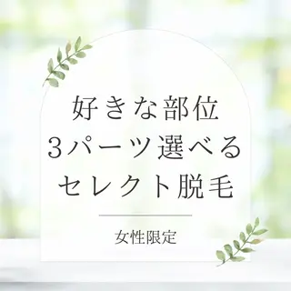An Blossom 脱毛/茅ヶ崎/美咲のエステ・リラクイメージ