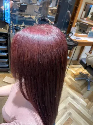 カラー バヤラー バイガルマーのヘアスタイル