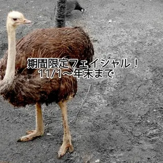 シミ・たるみ専門 サロン Cherieのエステ・リラクイメージ