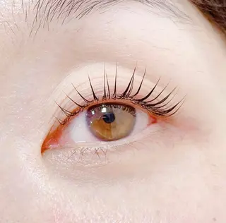 マツエク・マツパ Anela 🦋HARUMIの眉毛・アイブロウイメージ