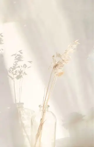 CSサロン Amule所属・Amule anna🦋のエステ・リラクイメージ