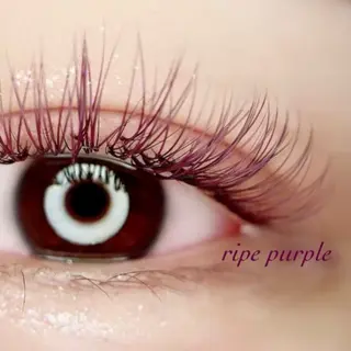 マツエク・マツパ Lupines海老名 🌻YU-KAのマツエク・マツパデザイン