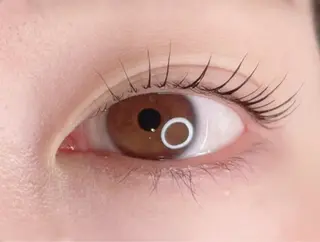 マツエク・マツパ 新柏PALS ｍｉｈｏのマツエク・マツパデザイン