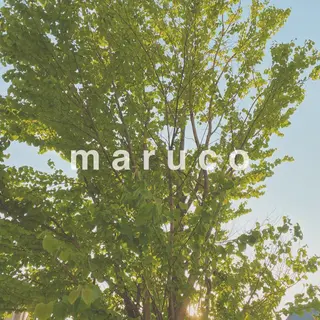 マツエク・マツパ なかむら 🪡のマツエク・マツパデザイン