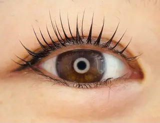 マツエク・マツパ L🎀リアン サロンのマツエク・マツパデザイン