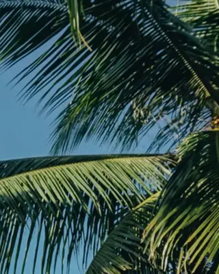 ブラジリアン☆WAX 🎖🌚YUKI🌚のエステ・リラクイメージ