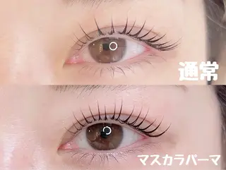 マツエク・マツパ Stella eyelashのマツエク・マツパデザイン