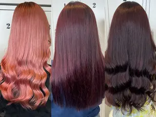 ロング カラー ショート/ウルフ カットモデル募集のヘアスタイル