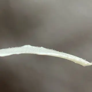 草加/モテまつ毛 &眉サロンAkikoのマツエク・マツパデザイン