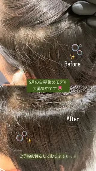 カラー :)) Konoha⋆。˚✩のヘアスタイル