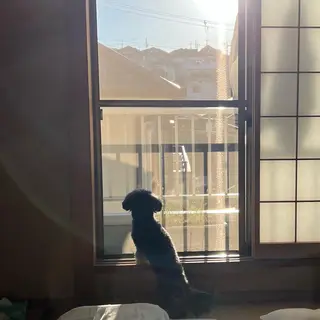 TIDEHAIR SHIHOのヘアスタイル