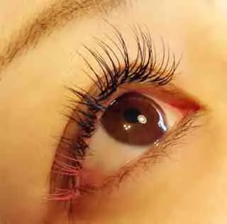 マツエク・マツパ T'enet  のマツエク・マツパデザイン