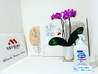 マツエク・マツパ 銀座一丁目 ネイルサロンミツキのネイルデザイン