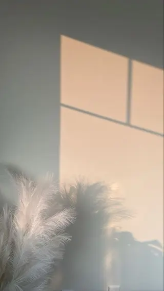 マツエク・マツパ mio🕊 銀座eyelistのマツエク・マツパデザイン