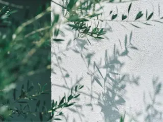 山下 襟華のヘアスタイル