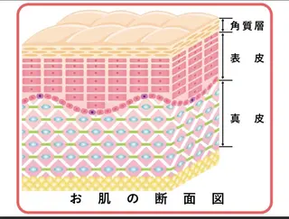 韓国肌管理 【毛穴専科】のエステ・リラクイメージ