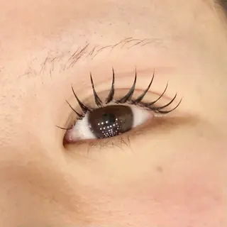 マツエク・マツパ eyeHbe TERAのマツエク・マツパデザイン